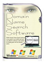 Find The Perfect Domain Name in Minutes with DNSS!